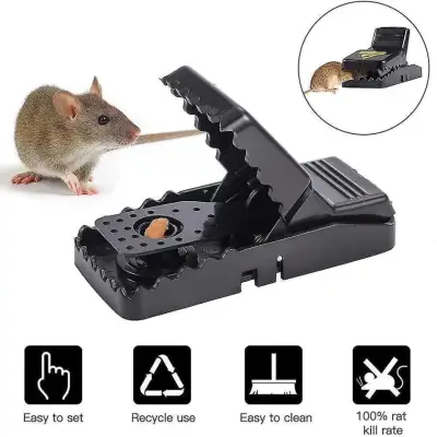 ৬ পিস Mouse Trap Rat & Rodent Catcher